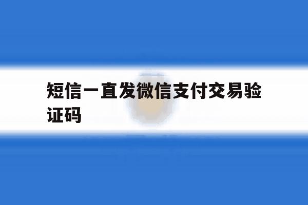 短信一直发微信支付交易验证码 短信一直发微信支付交易验证码