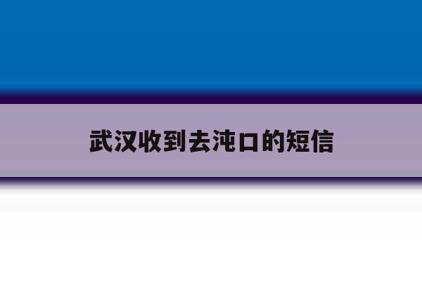 武汉收到去沌口的短信 武汉收到去沌口的短信