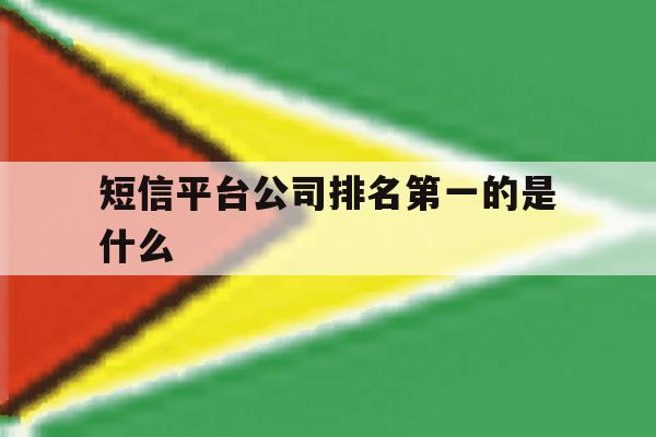 短信平台公司排名第一的是什么 短信平台公司排名第一的是什么