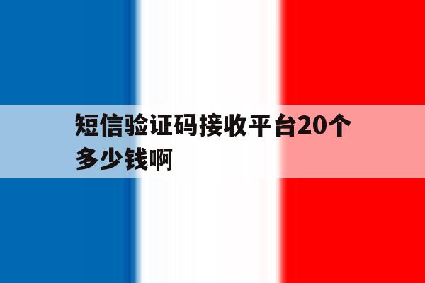 短信验证码接收平台20个多少钱啊 短信验证码接收平台20个多少钱啊