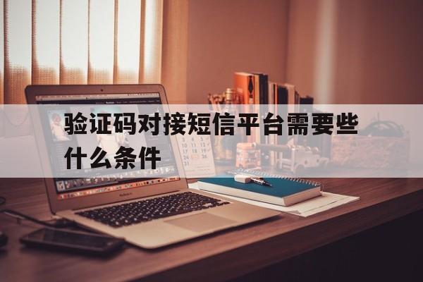 验证码对接短信平台需要些什么条件 验证码对接短信平台需要些什么条件