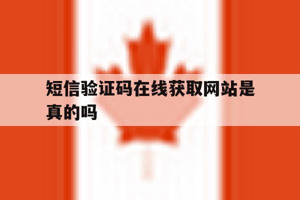 短信验证码在线获取网站是真的吗 短信验证码在线获取网站是真的吗