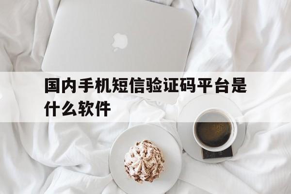 国内手机短信验证码平台是什么软件 国内手机短信验证码平台是什么软件