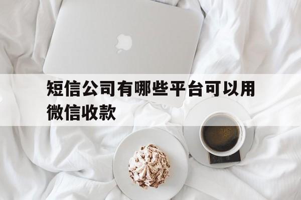 短信公司有哪些平台可以用微信收款 短信公司有哪些平台可以用微信收款