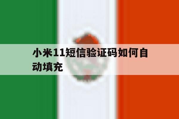 小米11短信验证码如何自动填充 小米11短信验证码如何自动填充