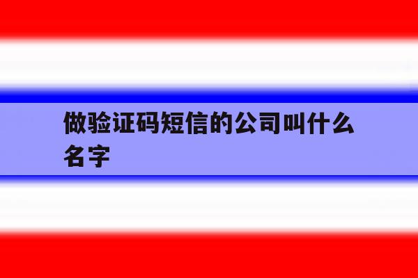 做验证码短信的公司叫什么名字 做验证码短信的公司叫什么名字