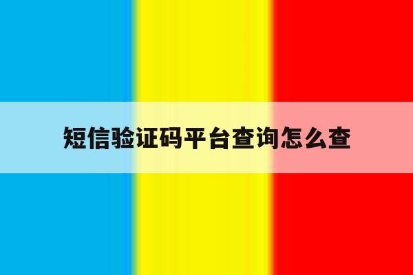 短信验证码平台查询怎么查 短信验证码平台查询怎么查