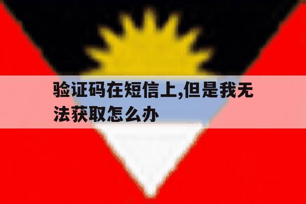 验证码在短信上,但是我无法获取怎么办 验证码在短信上,但是我无法获取怎么办