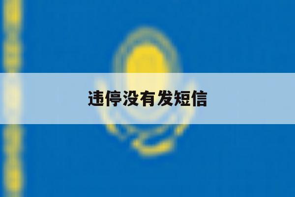 违停没有发短信 违停没有发短信